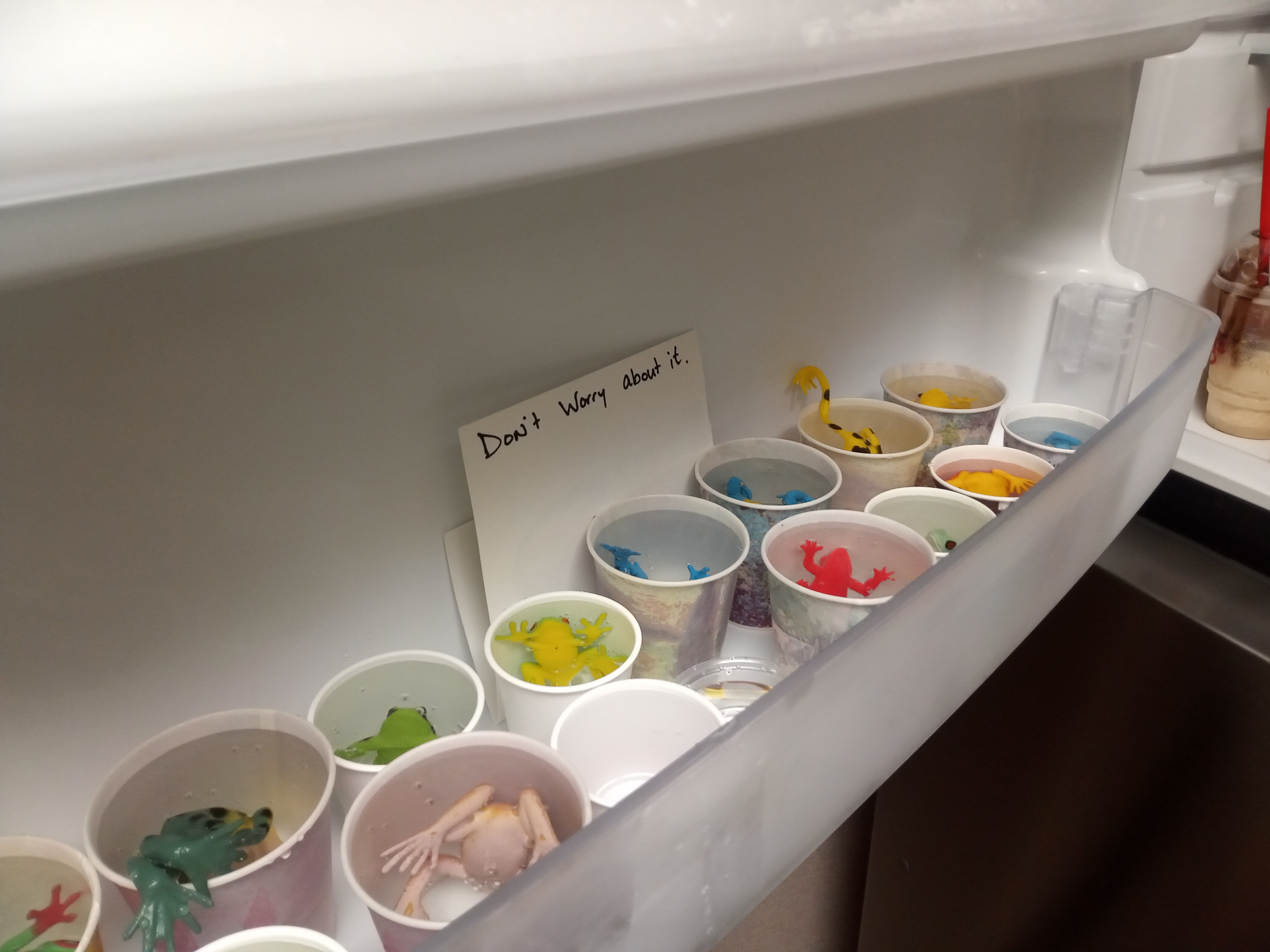 Dixie cups with colorful plastic frogs in them in a freezer door with a sign that says "Don't worry about it."