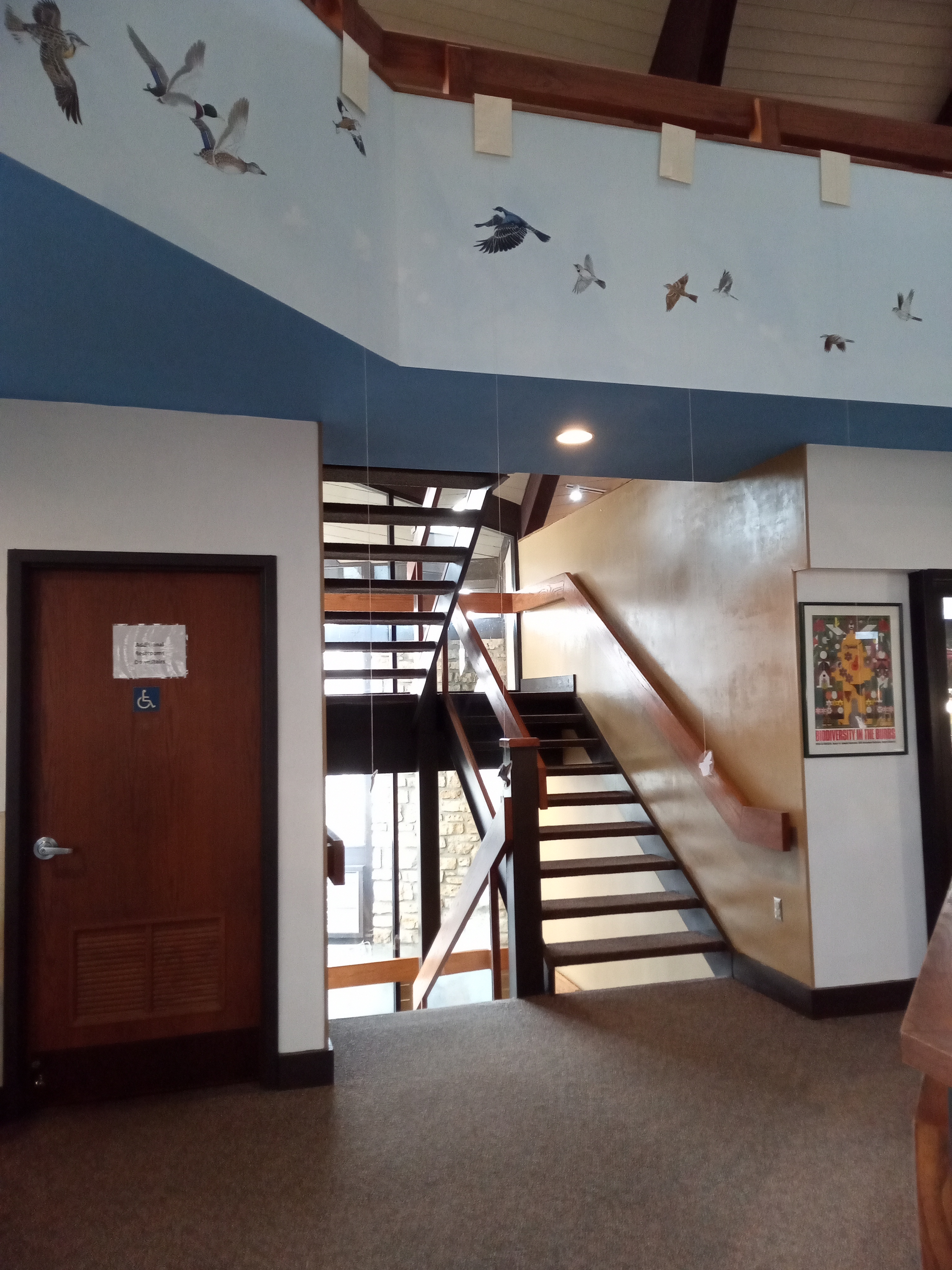 Interior pictures of a nature center with open stairs, a brown door, and a mural of birds flying above them. When viewed closely, envelopes are hanging above the birds with strings hanging down from them.