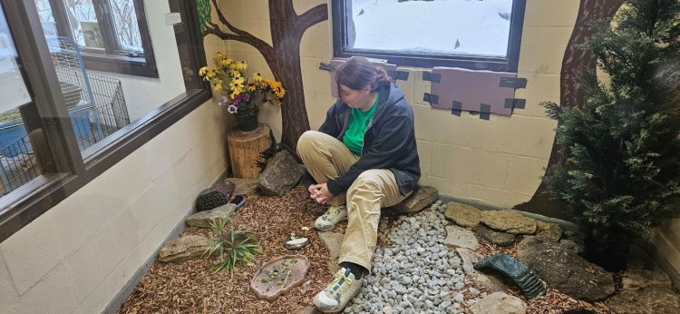 A woman sits in a room that has a natural-looking floor, a tree painted on the wall, and yellow flowers in the corner. She is looking at the ground.