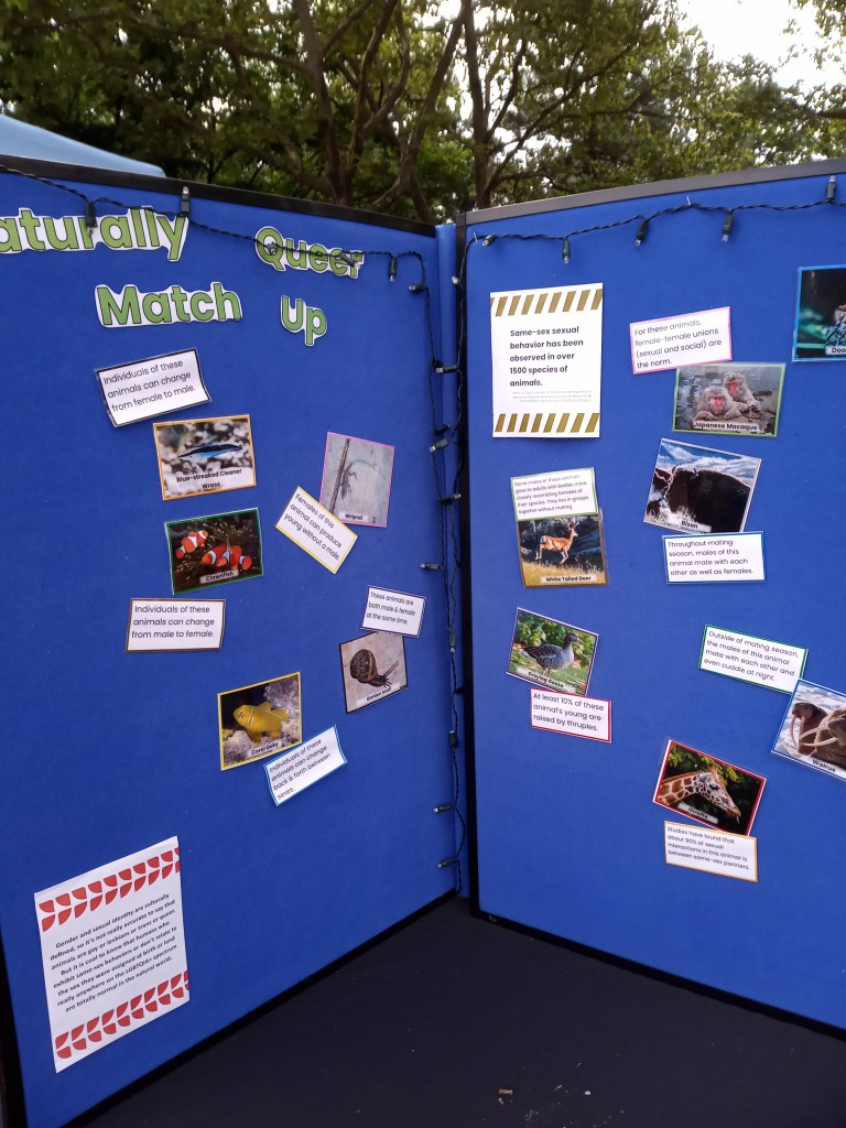 A blue bi-fold display with pictures of animals with snippets of text. The board is titled Naturally Queer Match Up