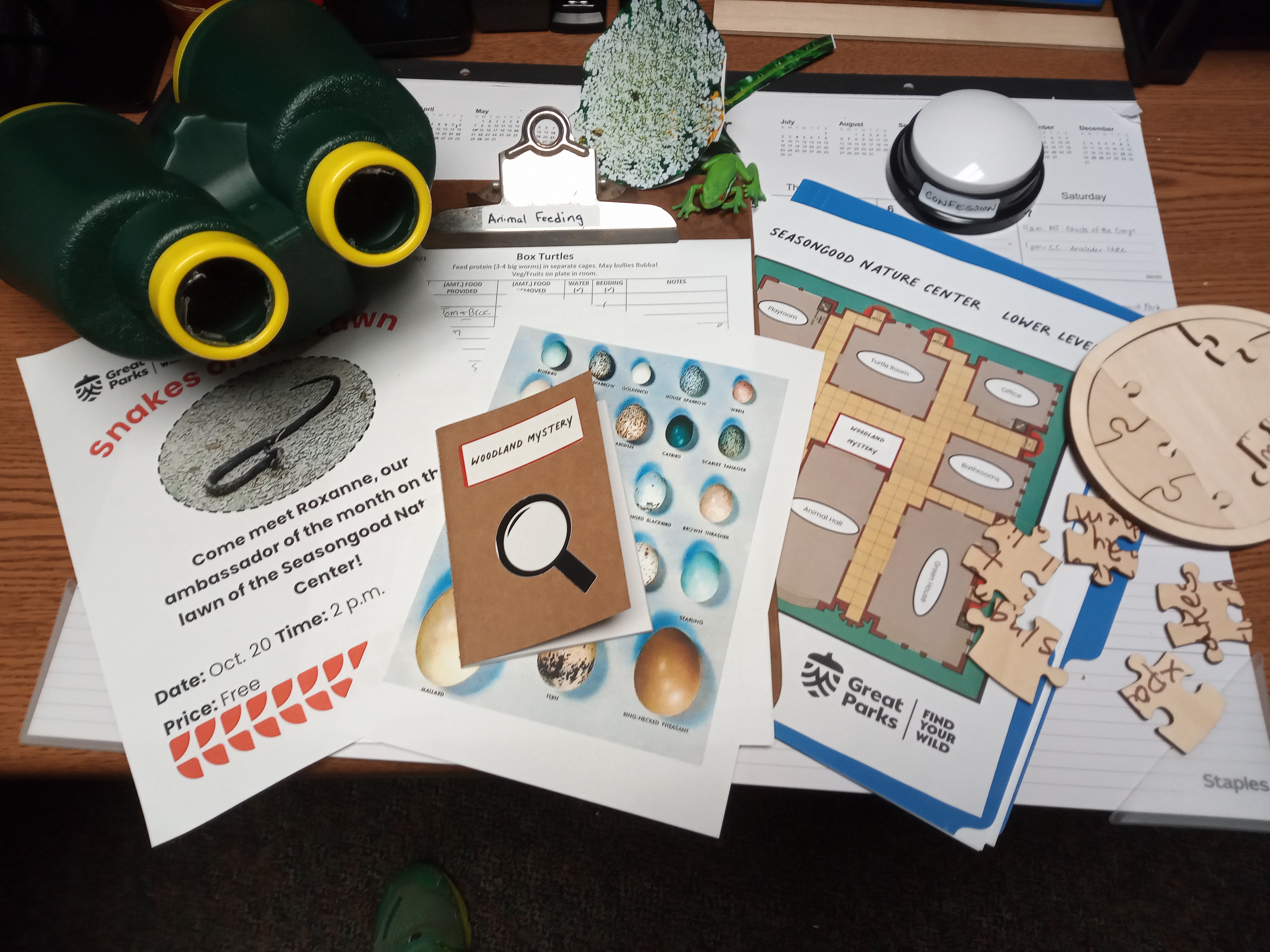 An assortment of materials including oversized binoculars, a piece of paper with a snake on it, a flyer with different bird eggs, a Clue-style map, puzzle pieces, and a large, white button.