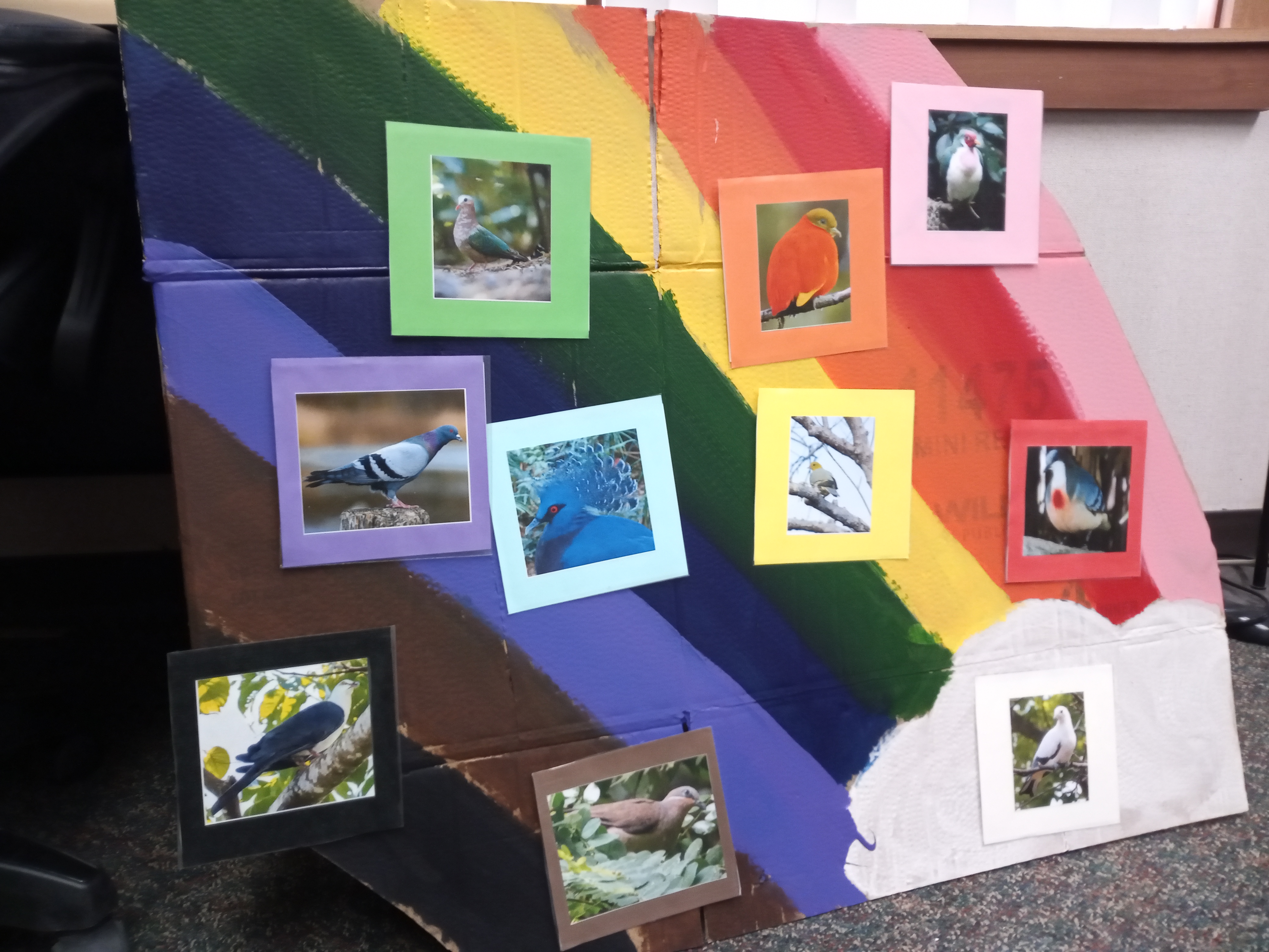 Home painted rainbow with different colored doves attached to their corresponding color.